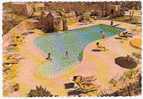 TUCSON, Arizona : " Tanque Verde Guest Ranch , The Swim Pool ; Animée , TB - Tucson