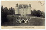 H48 - L'ÎLE BOUCHARD - Château Du TEMPLE (Nord) - 1915 (parterre Papillon) - L'Île-Bouchard