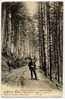H51 - URIAGE-LES-BAINS - La Forêt De PREMOL(1903 - Dos Non Divisé - Jolie Carte Animée) - Uriage