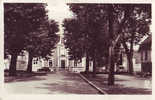 La Ferté  Bernard - Promenade Du Mail Vers L'Hôtel De Ville - La Ferte Bernard