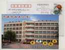 China 2002 Jiyuan Xiguan Primary School Postal Stationery Card Basketball Playground - Baloncesto