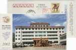 China 2003 Baofeng Country Bureau Of Grain Advertising Postal Stationery Card Basketball Stand - Baloncesto