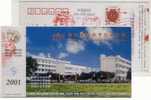 China 00 Nanfeng Primary School Advertising Postal Stationery Card Basketball - Basket-ball