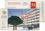 China 2003 Chengguan High School Advertising Postal Stationery Card Basketball Courts - Basketbal