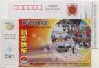 China 2001 Wandashan Pharmaceutical Factory Advertising Postal Stationery Card Basketball Court - Basketbal