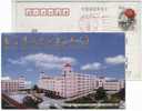 China 2001 Nanjing Vocational High School Postal Stationery Card Basketball - Basket-ball