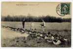 H55 - CAMP De SISSONNE - Infanterie Au Tir (1909 - Belle Oblitération De Sissonne) - Sissonne