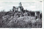 Les Ruines De Chalusset - Aixe Sur Vienne