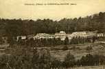 D.55. - CLERMONT -EN- ARGONNE .  PREVENTORIUM  D'ENFANTS . - Clermont En Argonne