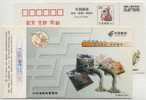 China 1999 Post Mail Order Advertising Postal Stationery Card Dolphin Handicraft - Delfini