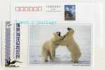 China 2005 Penglai Ocean Aquarium Advertising Postal Stationery Card Arctic Animal Polar Bear - Bears