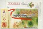 China 2006 Fujian Province AIDs Prevention Pre-stamped Card Stop AIDs Keep Promise Baby And Yellow Rose Flowers - Roses