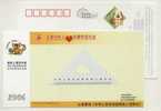CN 06 Law Of PRC On The Protection Of Disabled Person Advertising Postal Stationery Card Stable Triangle - Handicap