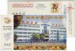 China 2002 Nanchang No.20 High School Postal Stationery Card Basketball Stands - Baloncesto