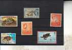 Carte Postale Et Timbre De Tortue - Tortoise Postcard And Stamp - Schildpadden