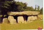 CPM 85 Le Bernard Longeville " Le Carnac Vendéen" Dolmen De La Frébouchère Vue Extérieure - Dolmen & Menhire