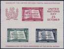 ONU New-York 1955 Bloc-Feuillet N°1 ** (côte YT 2008 280 Euros En Hausse) - Hojas Y Bloques