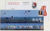 China 2001 Poyanghu Lake Freshwater Pre-stamped Card Migratory Bird Crane - Cranes And Other Gruiformes