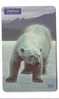 URSO POLAR (Brasil) Polar Bear Bear Baer Ours Orso Polar Polaire Artico Arctisch Arktisch - Brasile