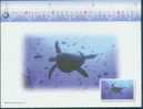 Turtle - Green Sea Turtle (Chelonia Mydas) With Fishes Pre-stamped Postcard With The Monthly Calendar Of 2000-08 - Tortues