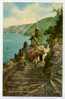 CPA Clovelly . Rose Cottage ,a Man And Donkey. âne - Clovelly