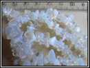 Lot De 30 Perles Chips D´Opalite - Perlas