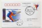 China 2005 The 10th National Sport Game Special PMK 1st Day Used On Card Rowing - Remo