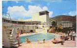 "The Virgin Isle Hotel " On ST Thomas , Virgin Island : The Swimming Pool ; Animée  ;TB - Virgin Islands, US