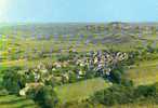 VUE SUR SANCERRE ET LE VIGNOBLE - Sancerre