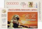 China 2002 Jinsheng Cigarette Advertising Pre-stamped Card Stone Lion - Tabac