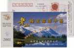 China 2001 Famous Laoshan Brand Honeybee Health Product Advertising Pre-stamped Card - Abejas
