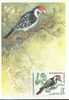 RUSSIE CARTE MAXIMUM NUM.YVERT 4628 FAUNE OISEAUX DES FORETS - Cartes Maximum