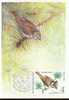 RUSSIE CARTE MAXIMUM NUM.YVERT 4629 FAUNE OISEAUX DES FORETS - Maximum Cards