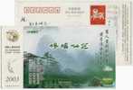 China 2003 Fuyao Long History Tea Processing Advertising Pre-stamped Card Green Tea - Autres & Non Classés