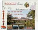 China 2006 Suichuan People Bank New Year Greeting Pre-stamped Card Anti-money-laundering And Local Product Green Tea - Other & Unclassified