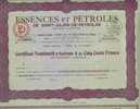 LOT DE 10 X :ESSENCES & PETROLES DE SAINT JULIEN DE PEYROLAS (A)  MAUVE - Petrolio