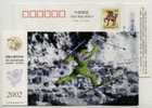 Delcampe - China 2002 Skiing Jumping Competition Postal Stationery Card Ski Sport - Ski