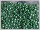 10 G De Perles De Rocailles Indiennes Vert Irisé - Perles