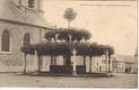 MACON-LEZ-CHIMAY - Arbre Célèbre Du XVe Siècle - Chimay