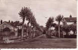 CPSM Dentellée De Coutenay (Loiret 45): Avenue De La Gare. - Courtenay