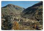 ST. MARTIN EN VESUBIE. Vue Générale - Saint-Martin-Vésubie