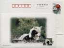 China 1999  New Year Greeting Postal Stationery Card Arctic Wolf Family - Faune Arctique