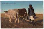 Italy, Sardinia, Nuoro: Ploughman With Bulls. Old Card - Nuoro