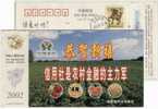 China 02 Wuxian Rural Credit Cooperatives Union Adver Pre-stamped Card Strawberry Fruit Crab Farming Cattle Farm - Hoftiere