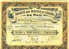 Hotels Et Casino De PAU 1928 (art. N° 176 ) - Altri & Non Classificati