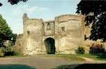 LOUDUN....PORTE DU MARTRAY - Loudun