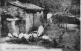 NOS CAMPAGNES..PETIT DEJEUNER EN FAMILLE..PORC..COCHON..1927 - Breeding