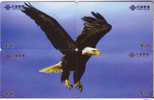 PUZZLE Birds - Oiseaux - Bird - Oiseau - Eagle – Adler – Aigle - Eagles - Aigles - PUZZLES Of 4. MINT Cards * China - Águilas & Aves De Presa