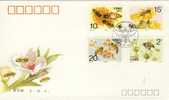 5489 FDC  CHINE - Api