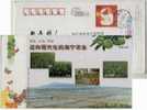 China  2004 Mordern Haining Agriculture Pre-stamped Card Fruit Flower Garden Chicken Livestock Husbandry - Granjas